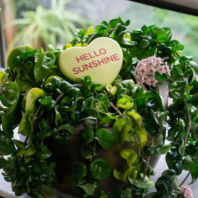 Conversation Heart, Hello Suns By Gold Leaf Design Group Set Of 3 | Garden Sculptures & Statues | Modishstore - 4