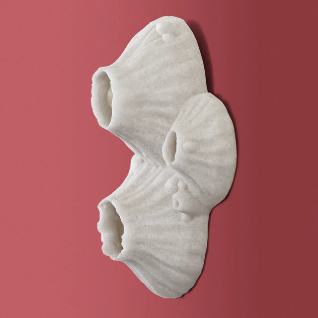 Paleo 6.8"W Wall Art Set Of 2 By Gold Leaf Design Group | Wall Art | Modishstore - 2