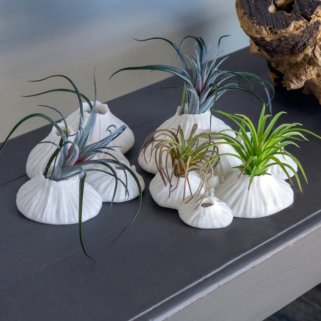 Paleo 7.2"W Wall Art By Gold Leaf Design Group | Wall Art | Modishstore - 4