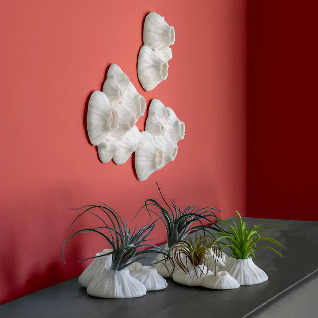Paleo 9.5"W Wall Art By Gold Leaf Design Group | Wall Art | Modishstore - 7