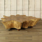 Antique Teak Thick Slab Coffee Table by Artisan Living-2