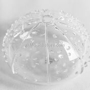 Hand-Blown Glass Sea Urchin Vases | Vases | Modishstore-7