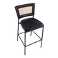 Rattan Tania Bar Stool - Set of 2 By LumiSource | Bar Stools | Modishstore - 7