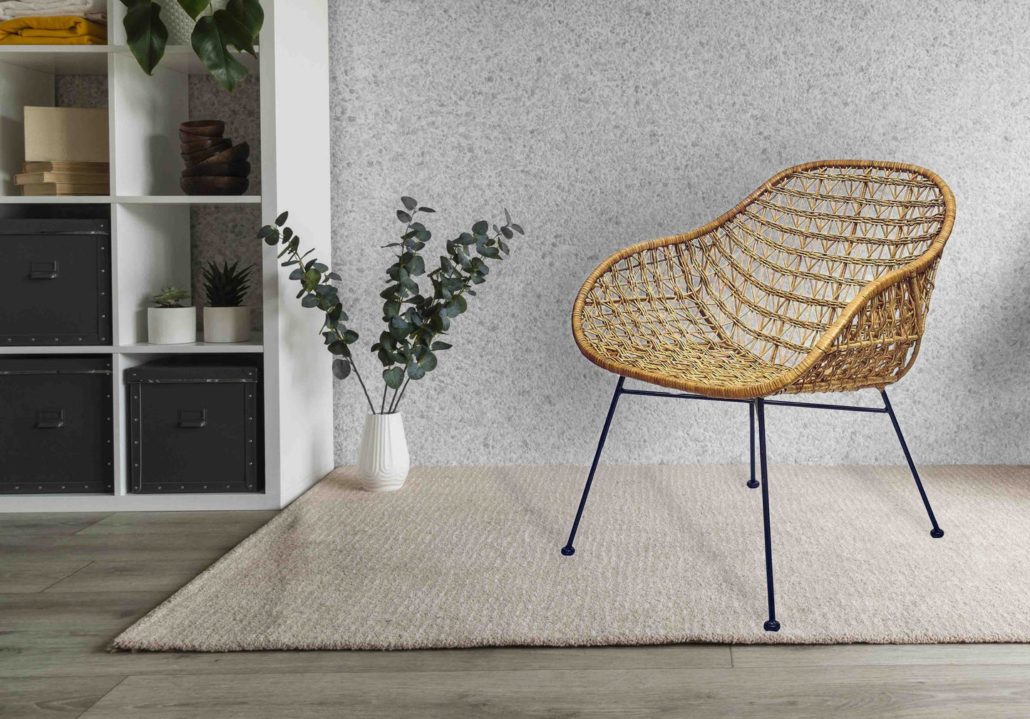 Pacific Basket Chair | Accent Chairs | AL770-s/2 | Modishstore