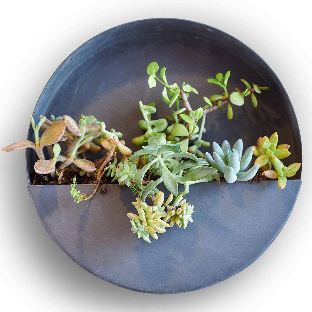 round wall plant hanger Wall Planters, Iron Indoor/Outdoor Circle & Semi Circle – Modish Store