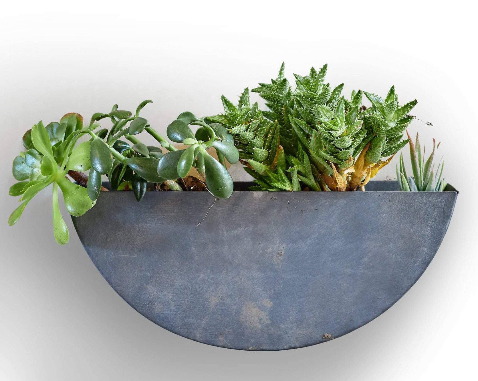 half round planter pots Wall Planters, Iron Indoor/Outdoor Circle & Semi Circle – Modish Store