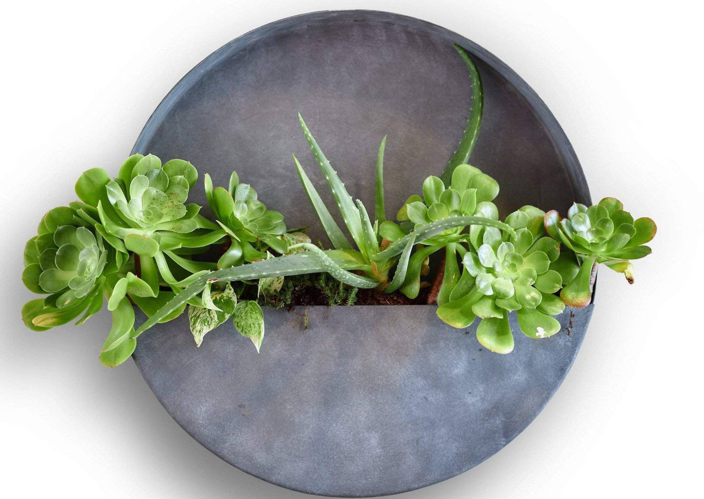 Wall Planters- Zinc Indoor/Outdoor Planters-Circle & Semi Circle by Artisan Living | ModishStore | Planters, Troughs & Cachepots-19