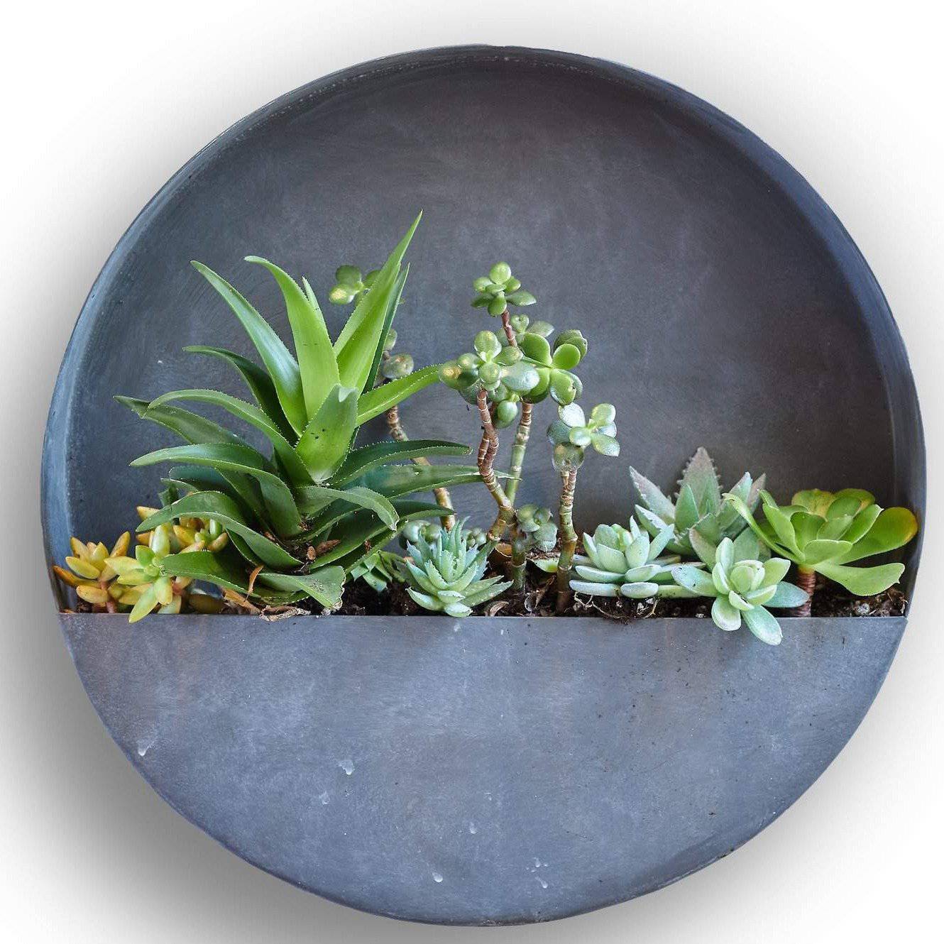 Wall Planters- Zinc Indoor/Outdoor Planters-Circle & Semi Circle by Artisan Living | ModishStore | Planters, Troughs & Cachepots