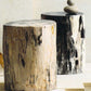 Roost Petrified Wood Stools | ModishStore | Petrified Wood Stools