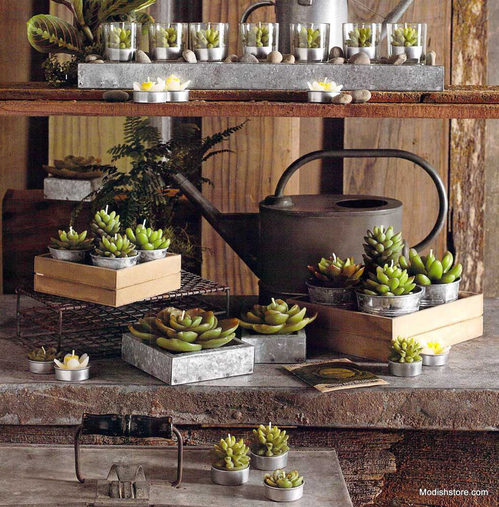 Roost Potted Succulent Candles