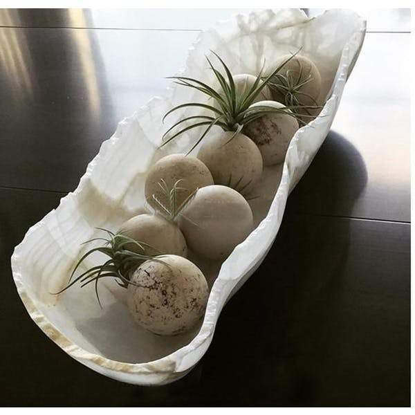 Onyx Bowl - Natural Banded Onyx | Decorative Bowls | Modishstore-4