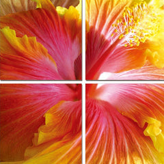 Vig Furniture Modrest Hibiscus 4-Panel Photo on Canvas