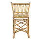 Boda Rattan Side Chair - Honey Set of 2 by Jeffan | Side Chairs | Modishstore - 3