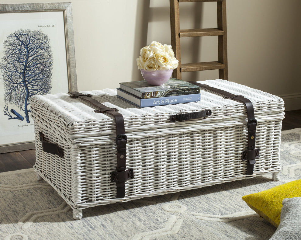 Safavieh Navarro Rattan Coffee Table Trunk | Coffee Tables | Modishstore - 1