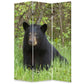 Screen Gems Bear Screen - SG-108 | Room Divider | Modishstore-2