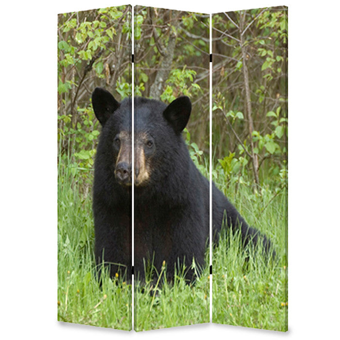 Screen Gems Bear Screen - SG-108 | Room Divider | Modishstore-2