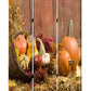 Screen Gems Harvest Screen - SG-131 | Room Divider | Modishstore