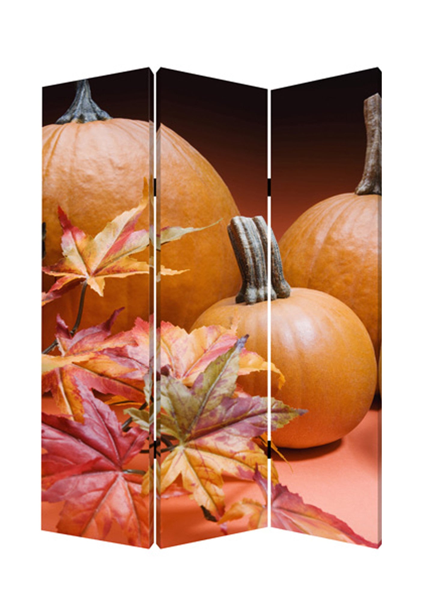 Screen Gems Harvest Screen - SG-131 | Room Divider | Modishstore-2