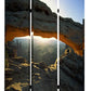 Screen Gems Desert Screen - SG-136 | Room Divider | Modishstore