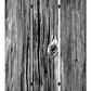 Screen Gems Distressed Wood Canvas Screen - SG-180 | Room Divider | Modishstore-2
