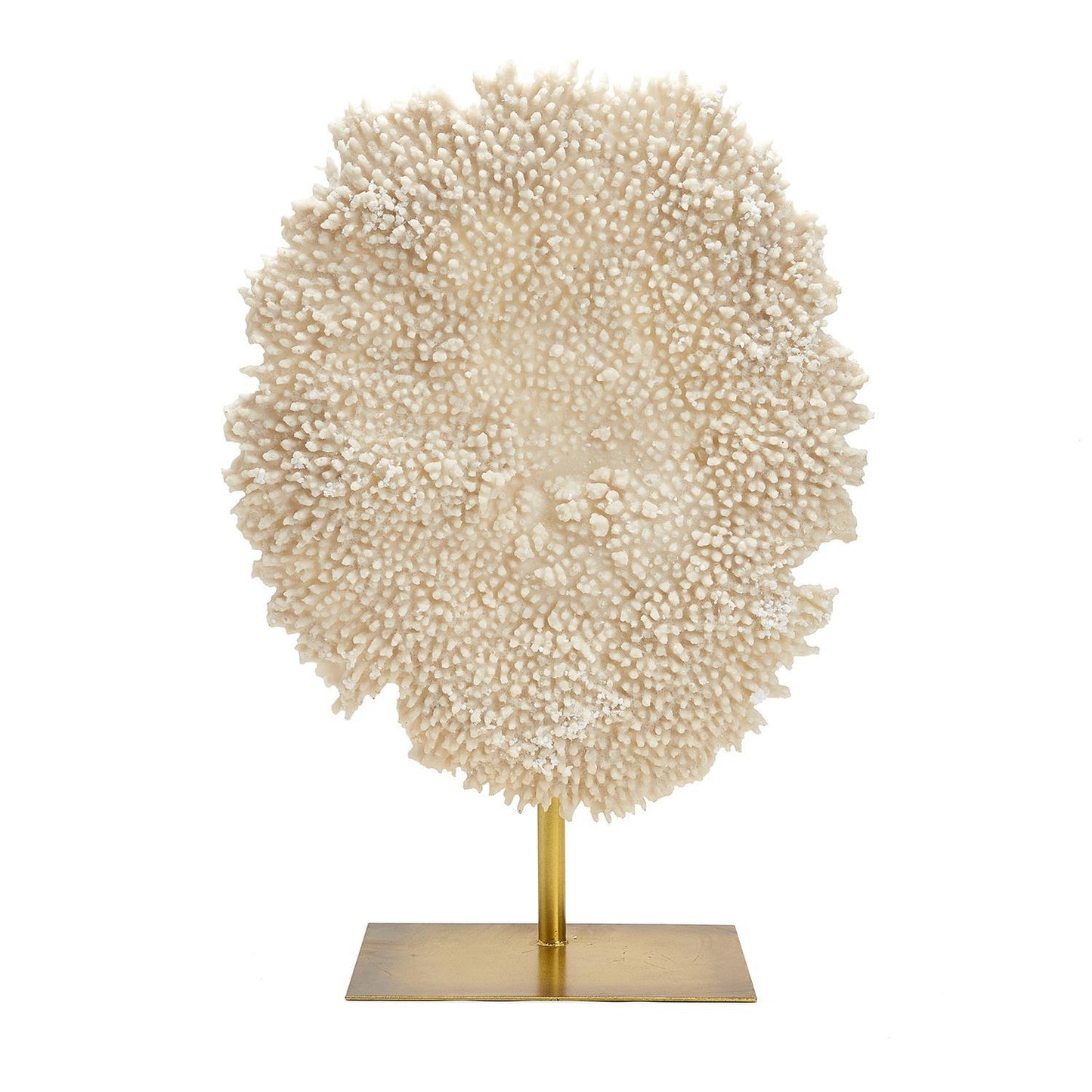 26 1/2" Whte Poly Coral Sculp. Resin/Iron By Tozai Home | Sculptures | Modishstore -2
