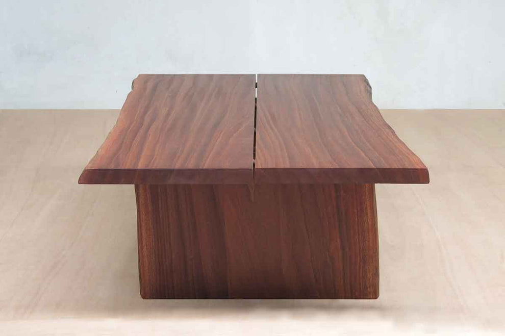 Maaya Gavilana Coffee Table | Coffee Tables | Modishstore - 2