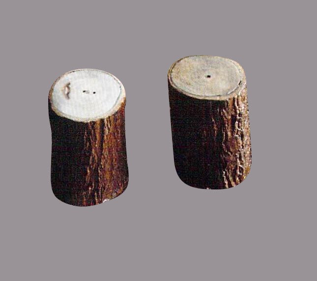 Log of Wood Salt & Pepper Shaker - Set Of 4 | ModishStore | Holiday