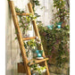 Haussmann Teak Towel Ladder 64" H With Adjustable Shelf Teak Oil | Shelves & Shelving Units | Modishstore-3