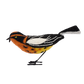 Felt Bird, Blackburnian Warbler Set of 4 by Gold Leaf Design Group | Animals & Pets | Modishstore-3