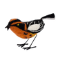 Felt Bird, Blackburnian Warbler Set of 4 by Gold Leaf Design Group | Animals & Pets | Modishstore-4