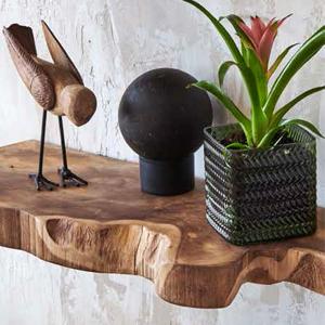 Takara Live Edge Shelf Set Of 2 by Texture Designideas | Wall Shelf | Modishstore-2