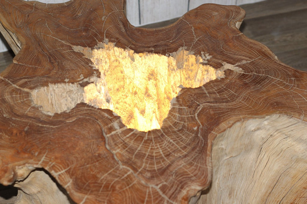 Old Teak Tree Slab Coffee Table by Artisan Living | ModishStore | Coffee Tables-3