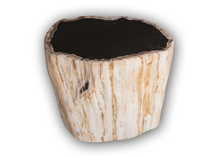 Petrified Wood Accent Stool- Cream/Black Core Rare Side Table by Aire Furniture | Petrified Wood Stools | Modishstore