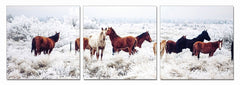 Vig Furniture Modrest Mustangs 3-Panel Photo On Canvas