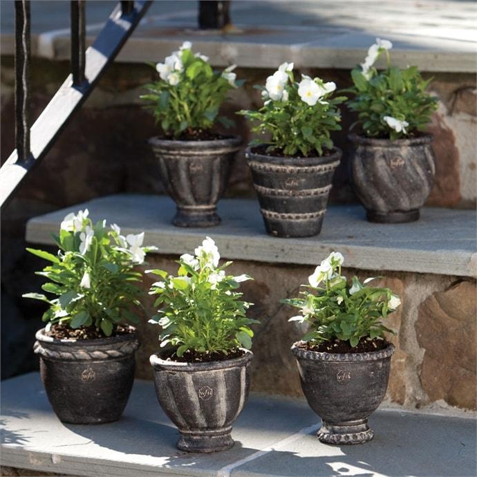 Wakefield Handmade Mini Pots By Napa Home & Garden | Outdoor Planters, Troughs & Cachepots | Modishstore - 6