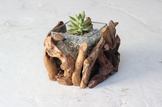 Driftwood Square Plant Holder Base by Artisan Living | Planters, Troughs & Cachepots | Modishstore-