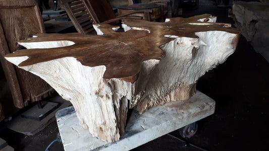 Teak Root Table Base- 62in x 37in x19.6 in | Coffee Tables Base | Modishstore