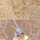 Wicker Rattan Ball Globe Sphere Pendant Light By Artisan Living | Pendant Lamps | SC-17072S | Modishstore - 3