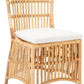 Safavieh Erika Rattan Accent Chair W/ Cushion Set Of 2 - Natural | Accent Chairs | Modishstore - 2