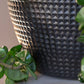 Nama Succulent Mix w/Grapto By Gold Leaf Design Group | Planters, Troughs & Cachepots |  Modishstore - 2