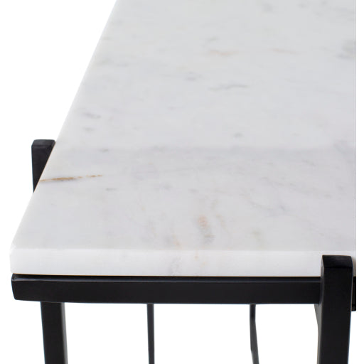 Surya Console Table - ANA-003 | Console Tables | Modishstore-2