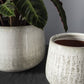 Anders White Terracotta Pot By Accent Decor- 2 sizes | Planters, Troughs & Cachepots | Modishstore - 5