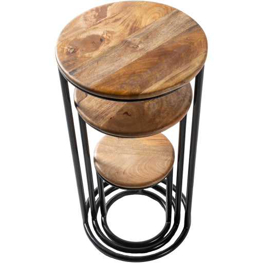 Surya Nesting Table Set - ANH002-SET | Nesting Tables | Modishstore-2