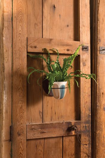 Ariana Ceramic and Metal Wall Planter- Set Of 4 By Accent Decor | Planters, Troughs & Cachepots | Modishstore - 2