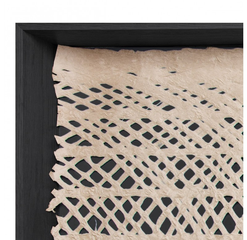 Gold Leaf Design Group Shadow Box w/ ˜Curva Ellipse Paper, Satin Black Hardwood | Wall Decor | Modishstore - 3