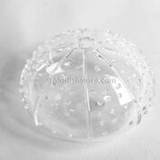 Hand-Blown Glass Sea Urchin Vases | Vases | Modishstore-6