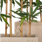 Bamboo Tree in Urbano Rectangle Planters, Set of 2 by Gold Leaf Design Group | Planters, Troughs & Cachepots | Modishstore-4
