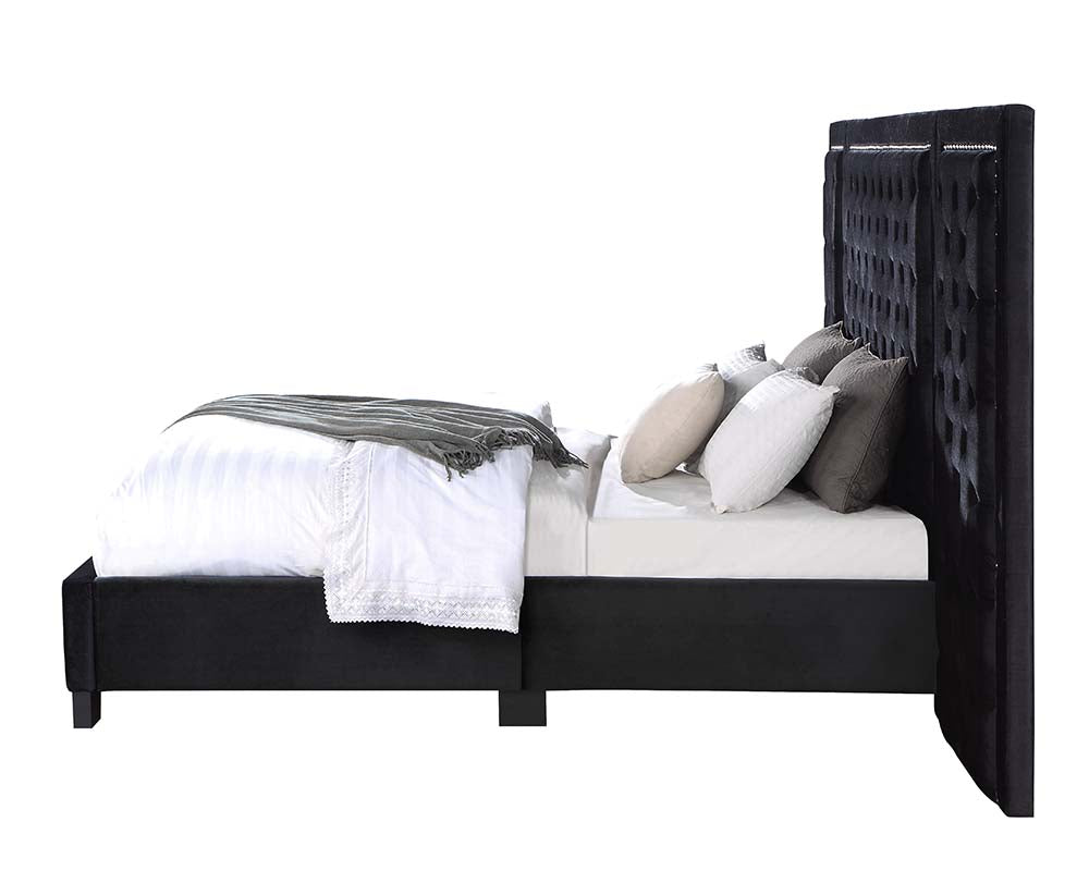 Damazy Queen Bed By Acme Furniture | Beds | Modishstore - 9