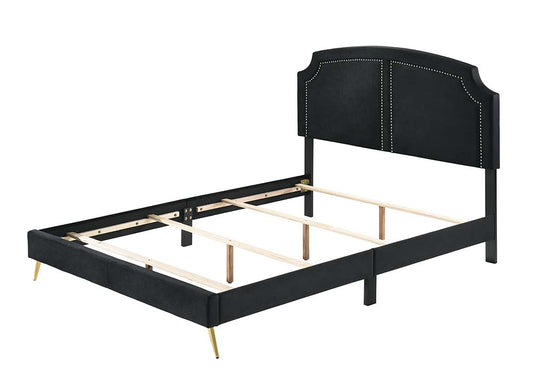Zeena Queen Bed By Acme Furniture | Beds | Modishstore