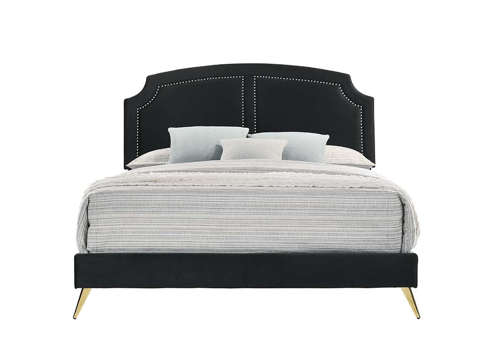 Zeena Queen Bed By Acme Furniture | Beds | Modishstore - 2